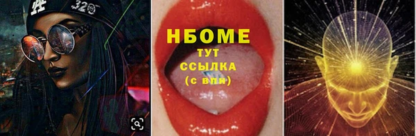 соль ск Лагань