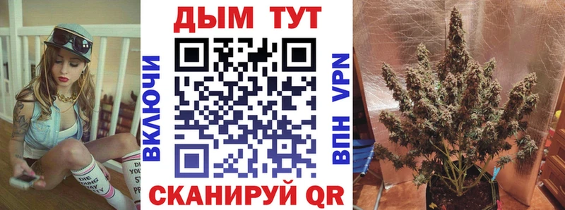 Бошки марихуана план  Купить закладки  Нефтеюганск 